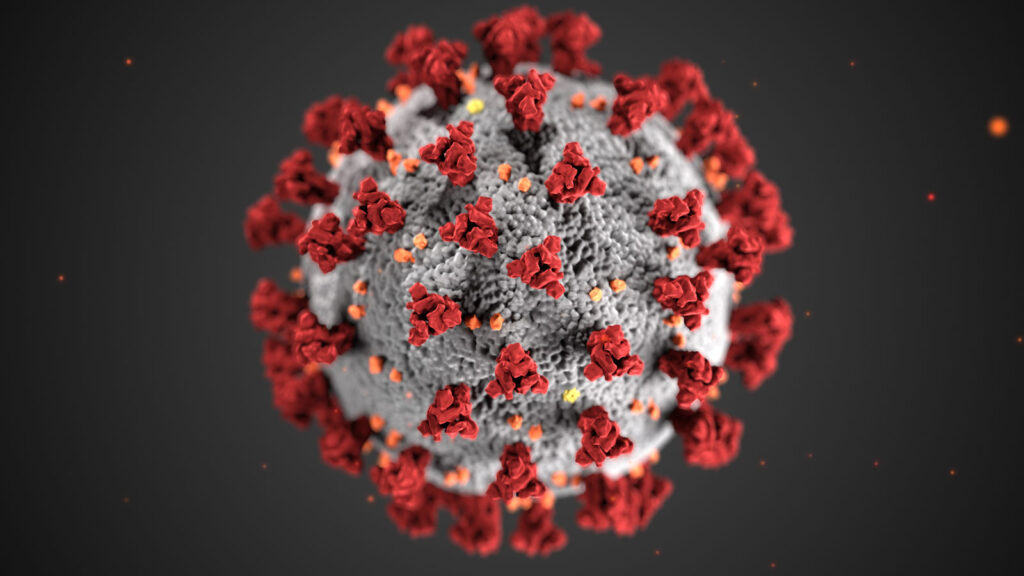 Picture of coronavirus ball