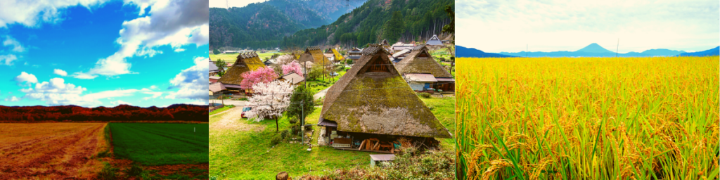 Rice fields and traditional Japanese's huts in rural Japan